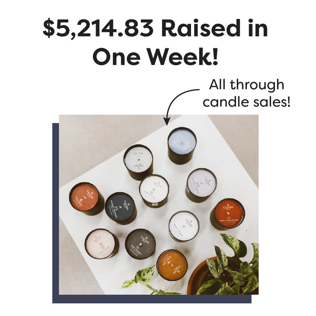 $5,214.83 Raised During Triple Impact Week - Calyan Wax Co.
