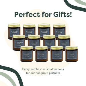 12 Pack of Mini Amber Jar Soy Candles - Oakmoss + Amber - Calyan Wax Co.