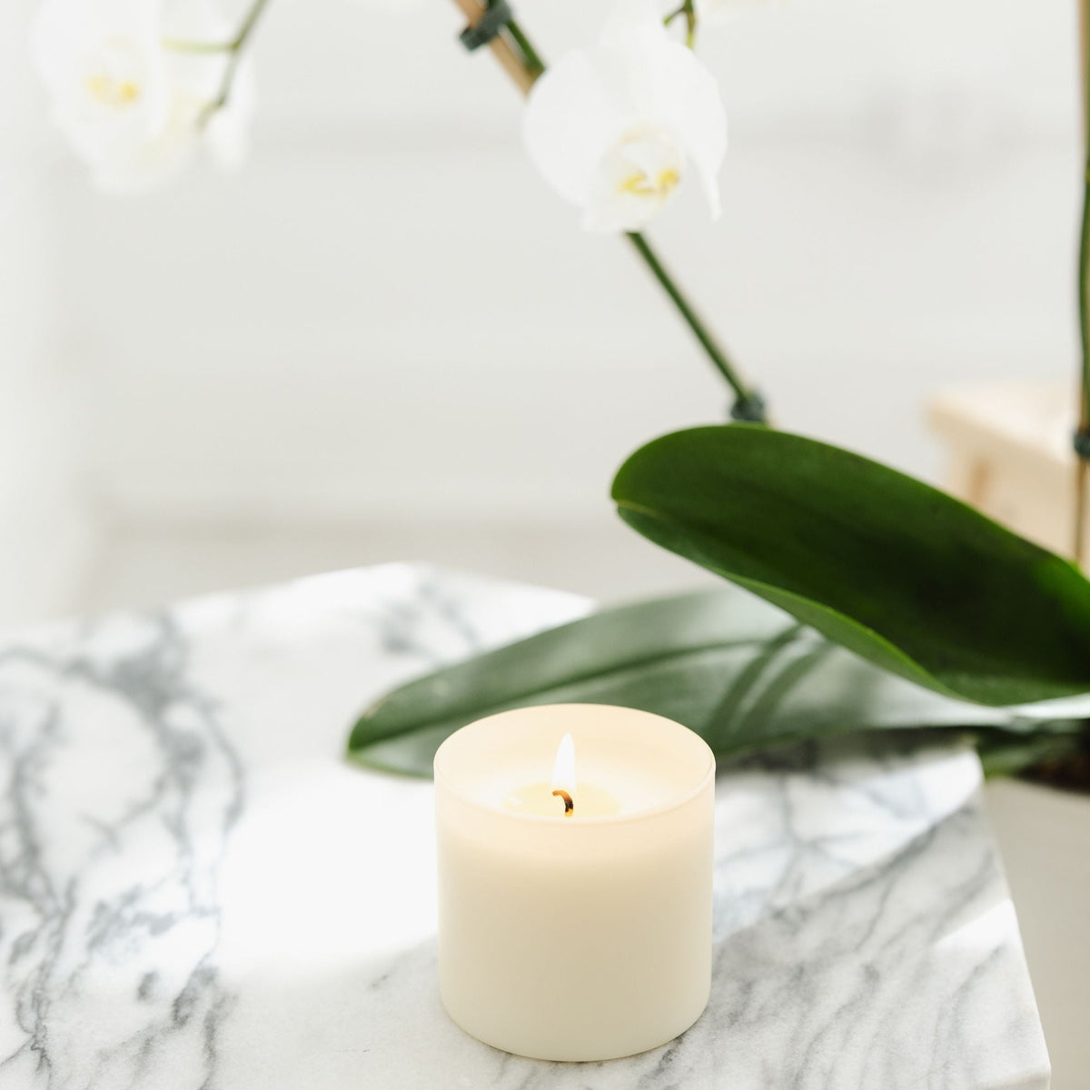 Aspen + Fog Dignity Series Soy Candle - Calyan Wax Co.