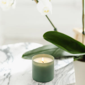 Evergreen + Eucalyptus Dignity Series Soy Candle - Calyan Wax Co.