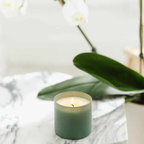 Evergreen + Eucalyptus Dignity Series Soy Candle - Calyan Wax Co.