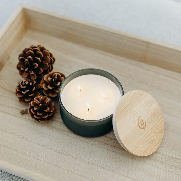 Fir + Clove 3-Wick Resilience Soy Candle | Seasonal Fragrance - Calyan Wax Co.