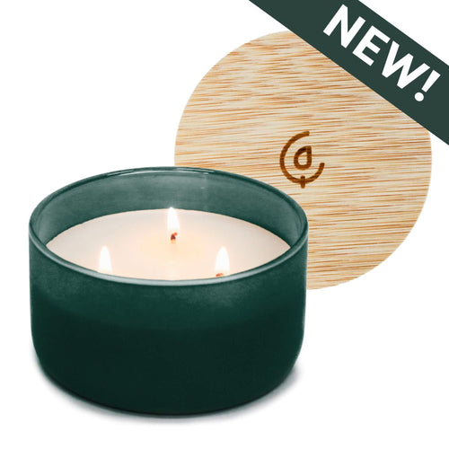 Fir + Clove Resilience Series Soy Candle | Seasonal Fragrance - Calyan Wax Co.