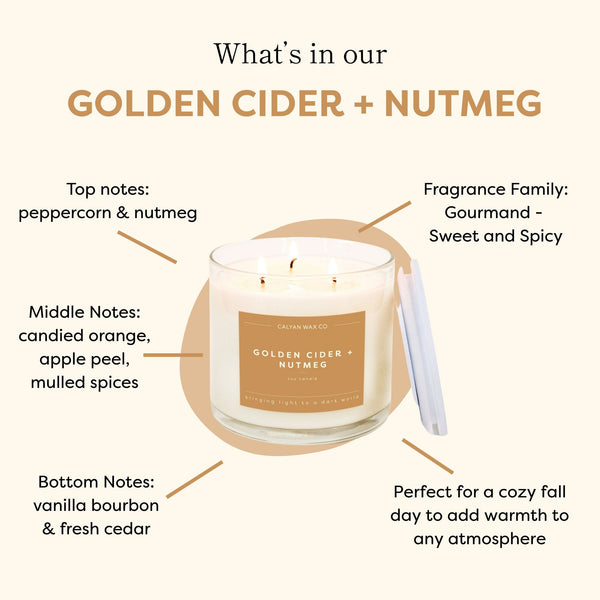 Golden Cider + Nutmeg 3 - Wick Clear Glass Tumbler Soy Candle - Calyan Wax Co.