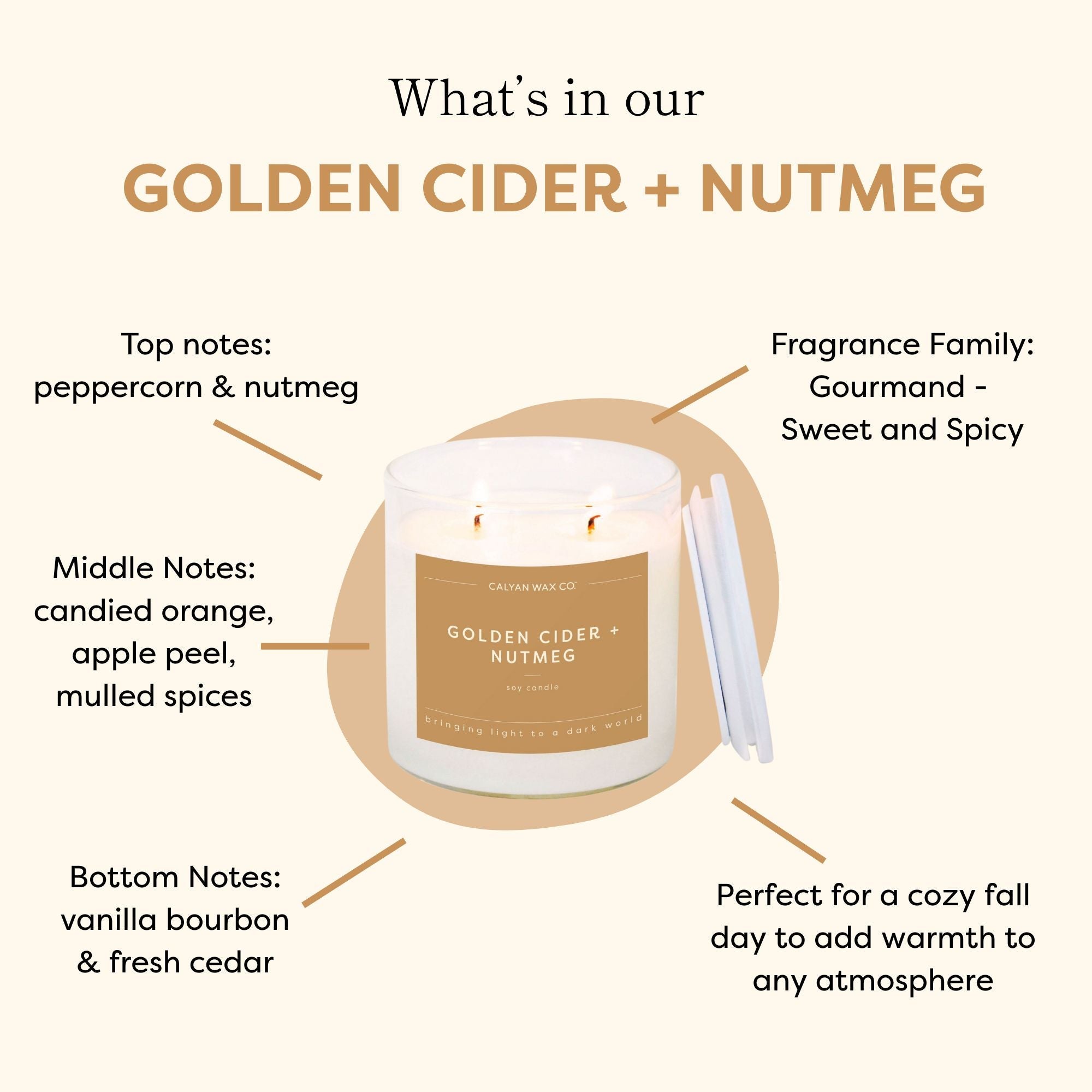 Golden Cider + Nutmeg Glass Tumbler Soy Candle | Limited Release - Calyan Wax Co.