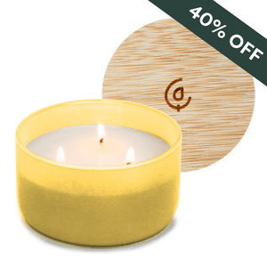 Pineapple + Coconut 3-Wick Resilience Soy Candle | Seasonal Fragrance - Calyan Wax Co.