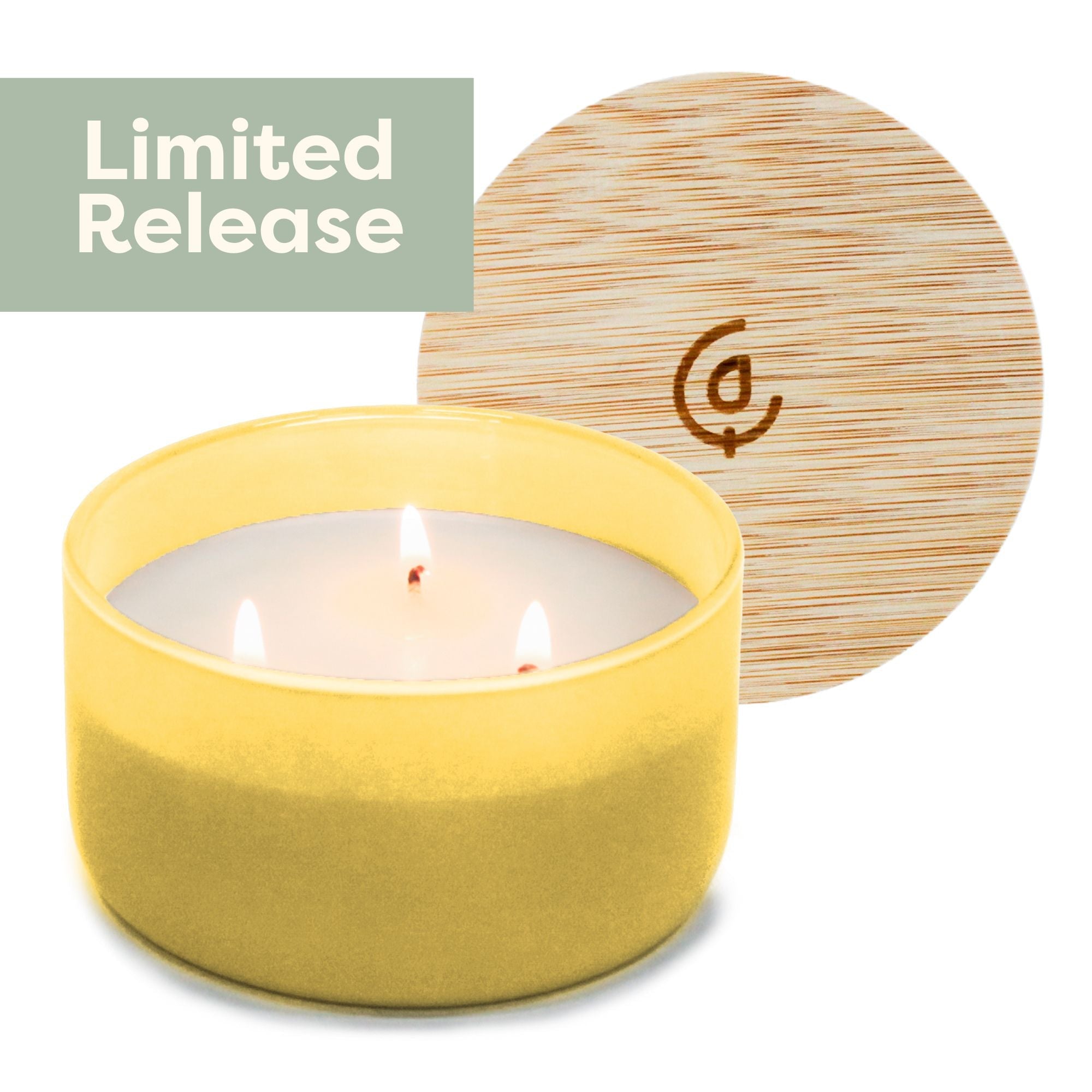 Pineapple + Coconut Resilience Series Soy Candle - Calyan Wax Co.