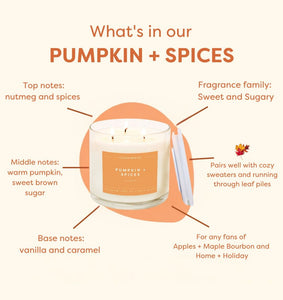 Pumpkin + Spices 3 - Wick Clear Glass Tumbler Soy Candle - Calyan Wax Co.