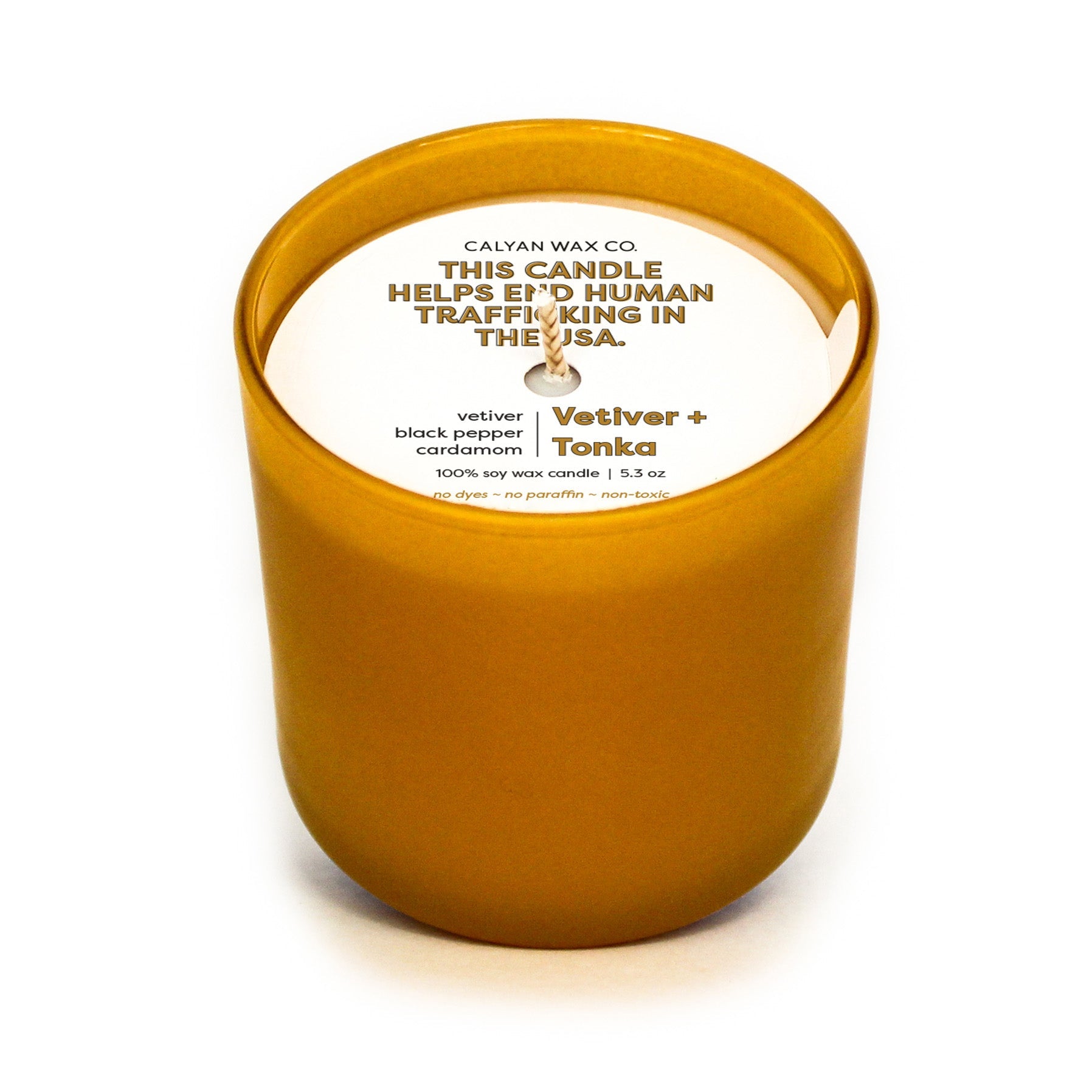Vetiver + Tonka Soy Candle in a Matter Gold Glass Tumbler - Calyan