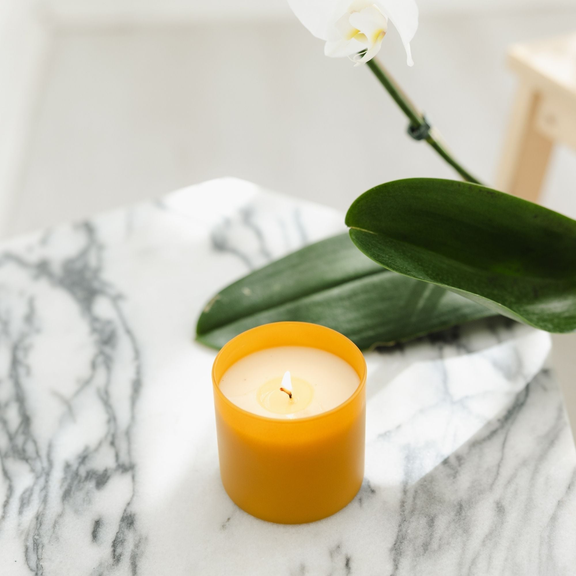 Vetiver + Tonka Soy Candle in a Matter Gold Glass Tumbler - Calyan